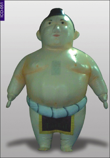 Sumo Inflatable costume