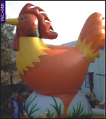 Inflatable Rooster, click here to see large picture.